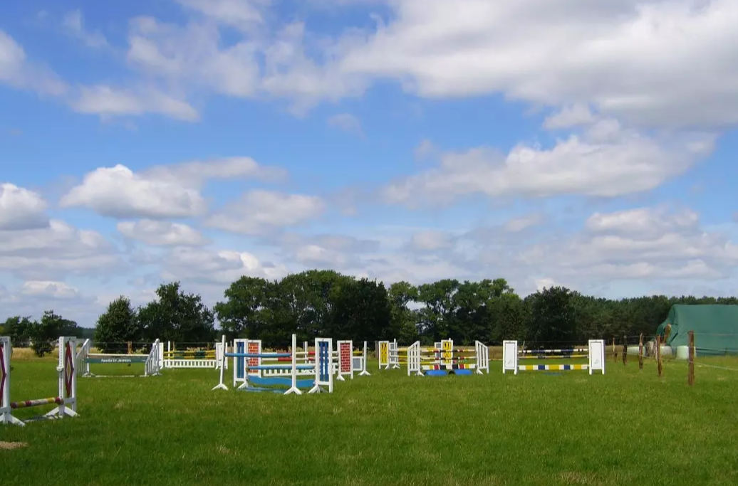Aktivitaeten-reitsportverein-overbeckhof Aktivitaeten-reitsportverein-overbeckhof